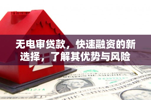 德令哈无电审贷款，快速融资的新选择，了解其优势与风险