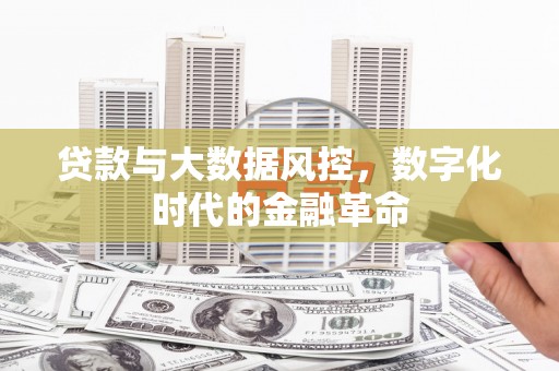 德令哈贷款与大数据风控，数字化时代的金融革命