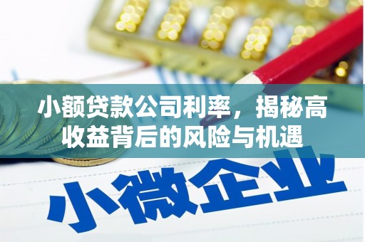 德令哈小额贷款公司利率，揭秘高收益背后的风险与机遇