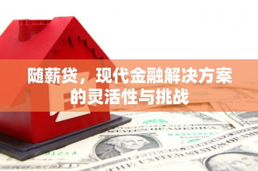 德令哈随薪贷，现代金融解决方案的灵活性与挑战