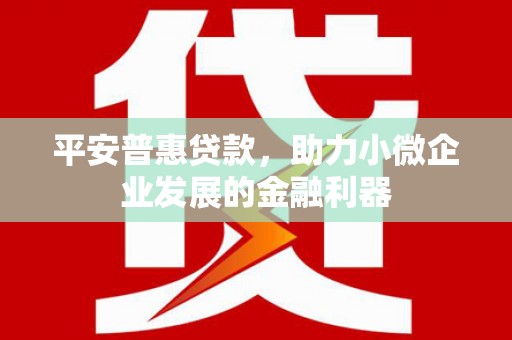 德令哈平安普惠贷款，助力小微企业发展的金融利器