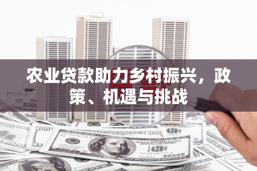 德令哈农业贷款助力乡村振兴，政策、机遇与挑战