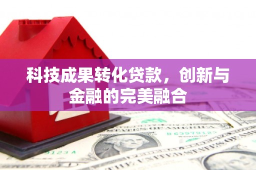 德令哈科技成果转化贷款，创新与金融的完美融合