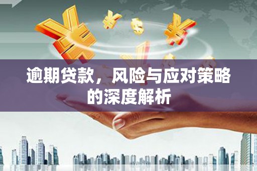 德令哈逾期贷款，风险与应对策略的深度解析