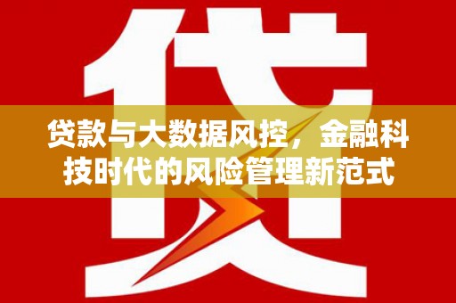 德令哈贷款与大数据风控，金融科技时代的风险管理新范式