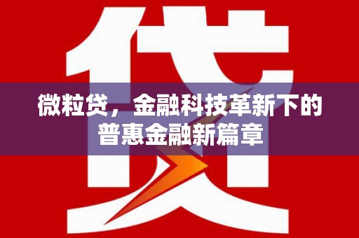 德令哈微粒贷，金融科技革新下的普惠金融新篇章