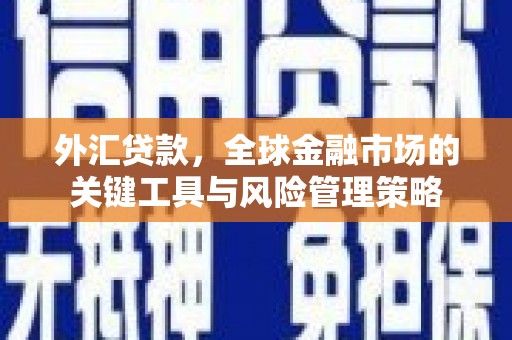 德令哈外汇贷款，全球金融市场的关键工具与风险管理策略