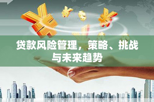 德令哈贷款风险管理，策略、挑战与未来趋势