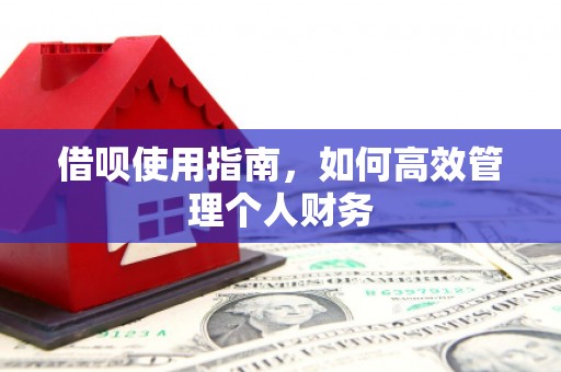 德令哈借呗使用指南，如何高效管理个人财务