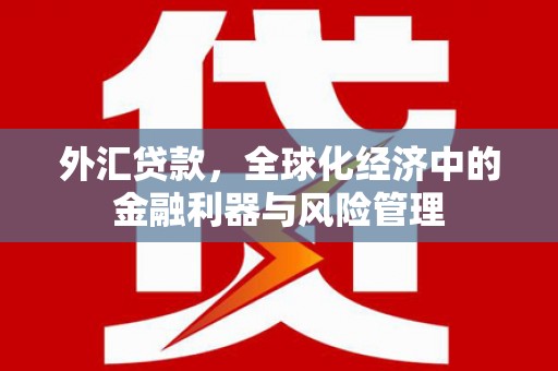 德令哈外汇贷款，全球化经济中的金融利器与风险管理