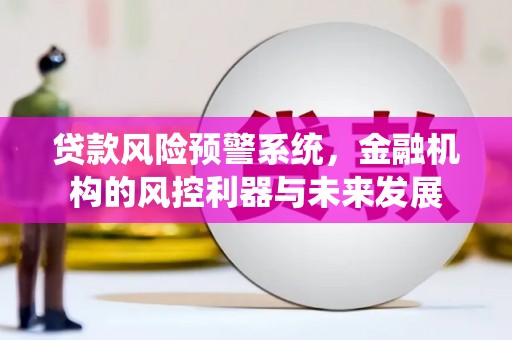 德令哈贷款风险预警系统，金融机构的风控利器与未来发展