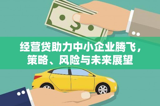 德令哈经营贷助力中小企业腾飞，策略、风险与未来展望