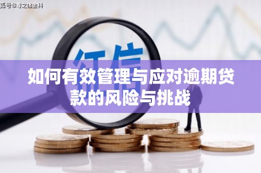 德令哈如何有效管理与应对逾期贷款的风险与挑战