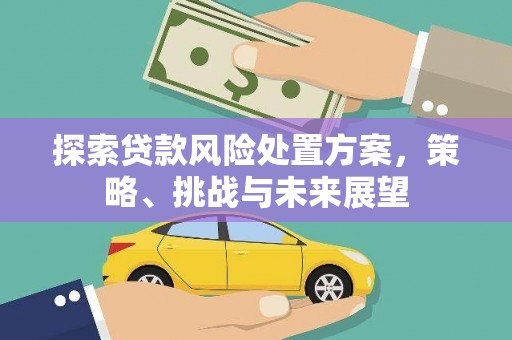 德令哈探索贷款风险处置方案，策略、挑战与未来展望