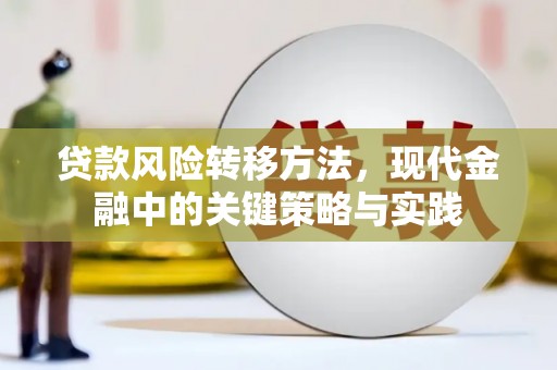 德令哈贷款风险转移方法，现代金融中的关键策略与实践
