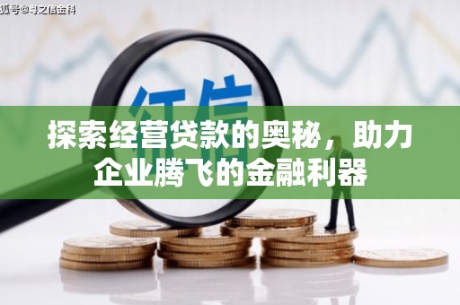 德令哈探索经营贷款的奥秘，助力企业腾飞的金融利器