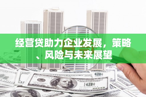 德令哈经营贷助力企业发展，策略、风险与未来展望