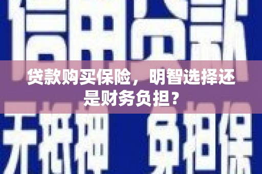 德令哈贷款购买保险，明智选择还是财务负担？