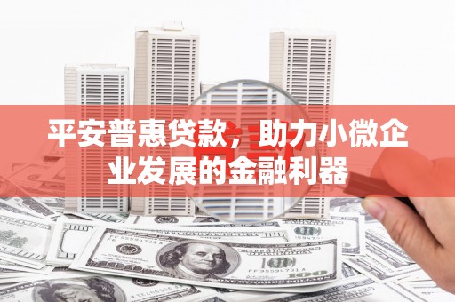 德令哈平安普惠贷款，助力小微企业发展的金融利器
