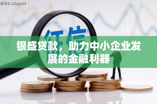 德令哈银盛贷款，助力中小企业发展的金融利器