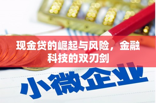 德令哈现金贷的崛起与风险，金融科技的双刃剑