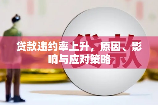 德令哈贷款违约率上升，原因、影响与应对策略