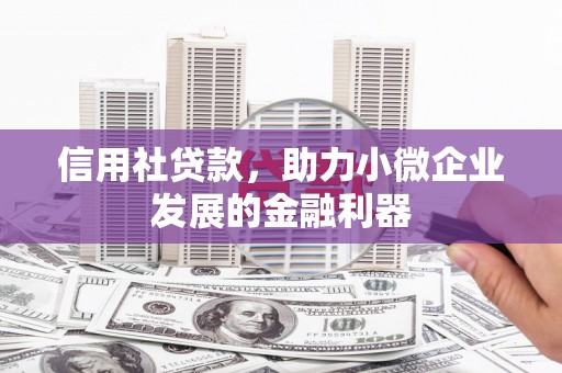 德令哈信用社贷款，助力小微企业发展的金融利器