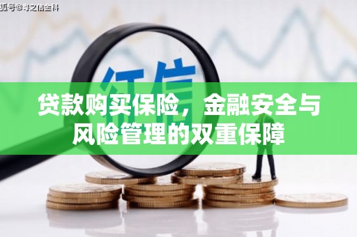 德令哈贷款购买保险，金融安全与风险管理的双重保障