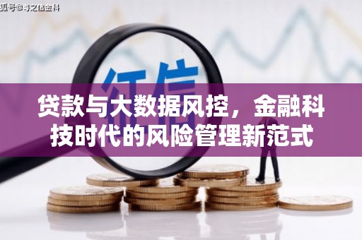 德令哈贷款与大数据风控，金融科技时代的风险管理新范式