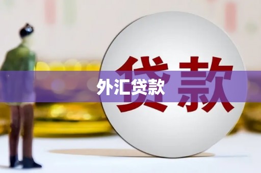 德令哈外汇贷款