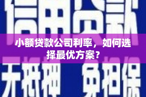 德令哈小额贷款公司利率，如何选择最优方案？