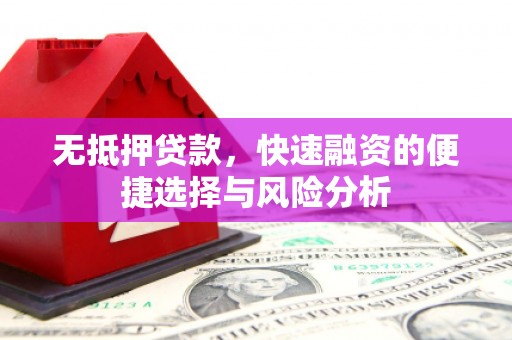 德令哈无抵押贷款，快速融资的便捷选择与风险分析