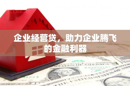 德令哈企业经营贷，助力企业腾飞的金融利器