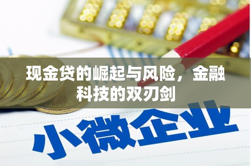 德令哈现金贷的崛起与风险，金融科技的双刃剑