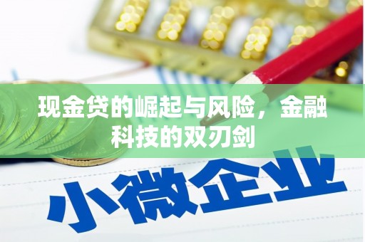 德令哈现金贷的崛起与风险，金融科技的双刃剑