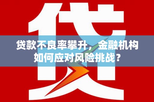 德令哈贷款不良率攀升，金融机构如何应对风险挑战？