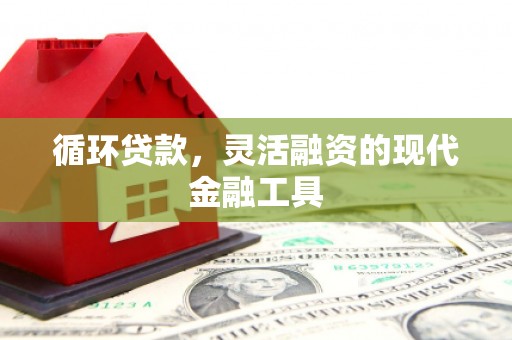 德令哈循环贷款，灵活融资的现代金融工具
