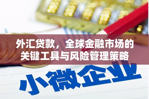 德令哈外汇贷款，全球金融市场的关键工具与风险管理策略