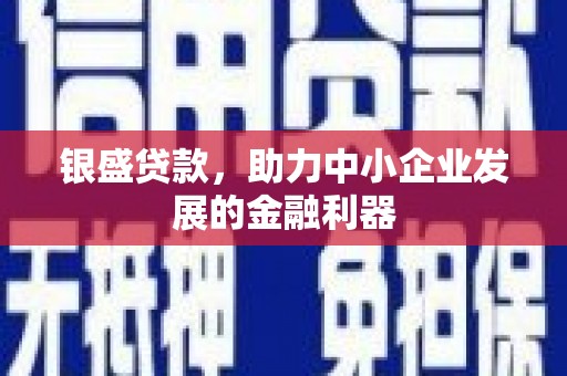 德令哈银盛贷款，助力中小企业发展的金融利器