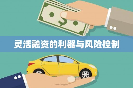 德令哈灵活融资的利器与风险控制