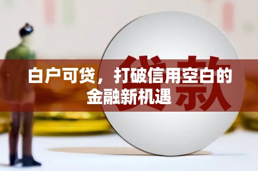 德令哈白户可贷，打破信用空白的金融新机遇