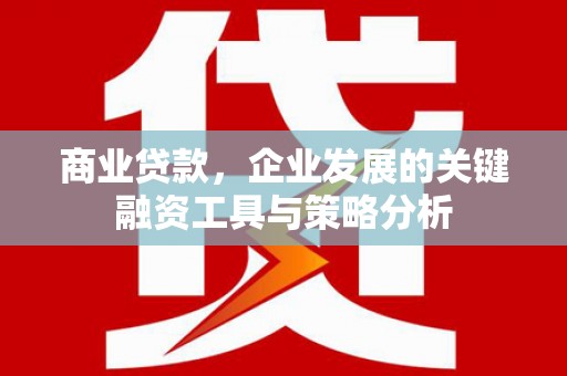 德令哈商业贷款，企业发展的关键融资工具与策略分析