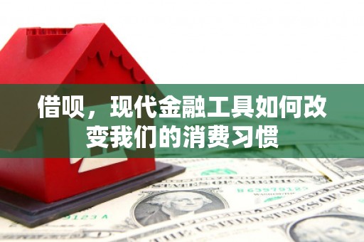 德令哈借呗，现代金融工具如何改变我们的消费习惯