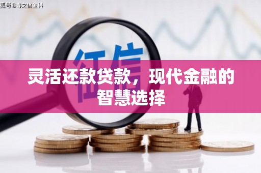 德令哈灵活还款贷款，现代金融的智慧选择
