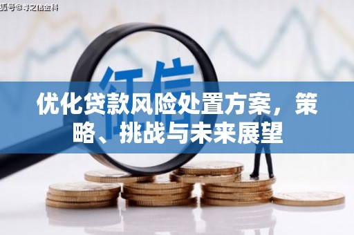 德令哈优化贷款风险处置方案，策略、挑战与未来展望