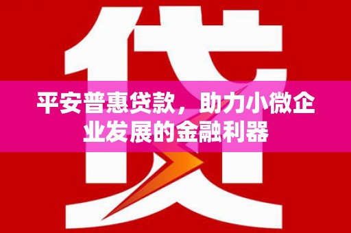 德令哈平安普惠贷款，助力小微企业发展的金融利器