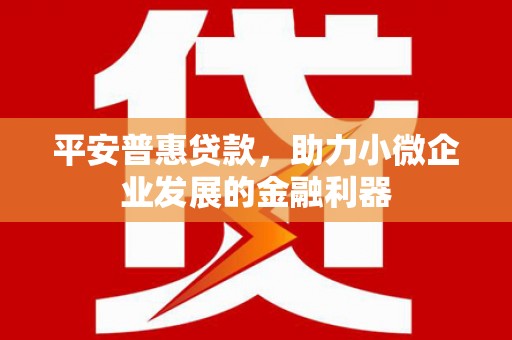 德令哈平安普惠贷款，助力小微企业发展的金融利器