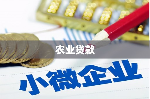 德令哈农业贷款