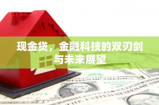 德令哈现金贷，金融科技的双刃剑与未来展望
