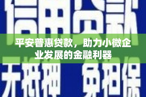 德令哈平安普惠贷款，助力小微企业发展的金融利器